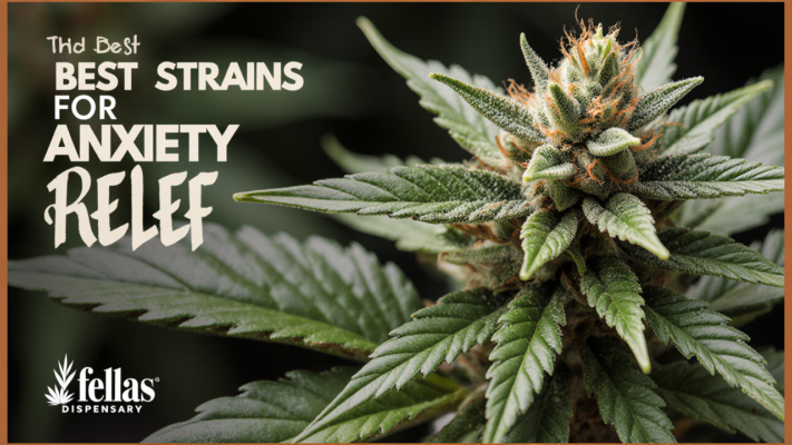 Best Cannabis Strains for Anxiety Relief